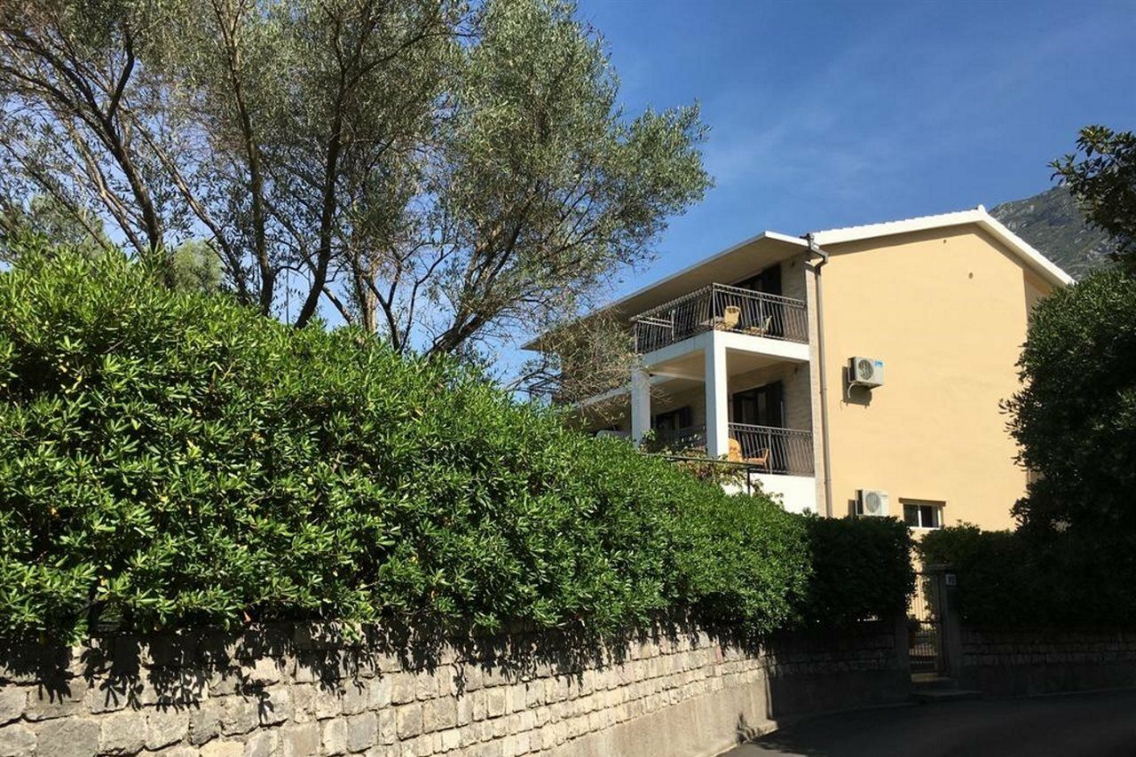 Apartments Vojvoda كوتور المظهر الخارجي الصورة